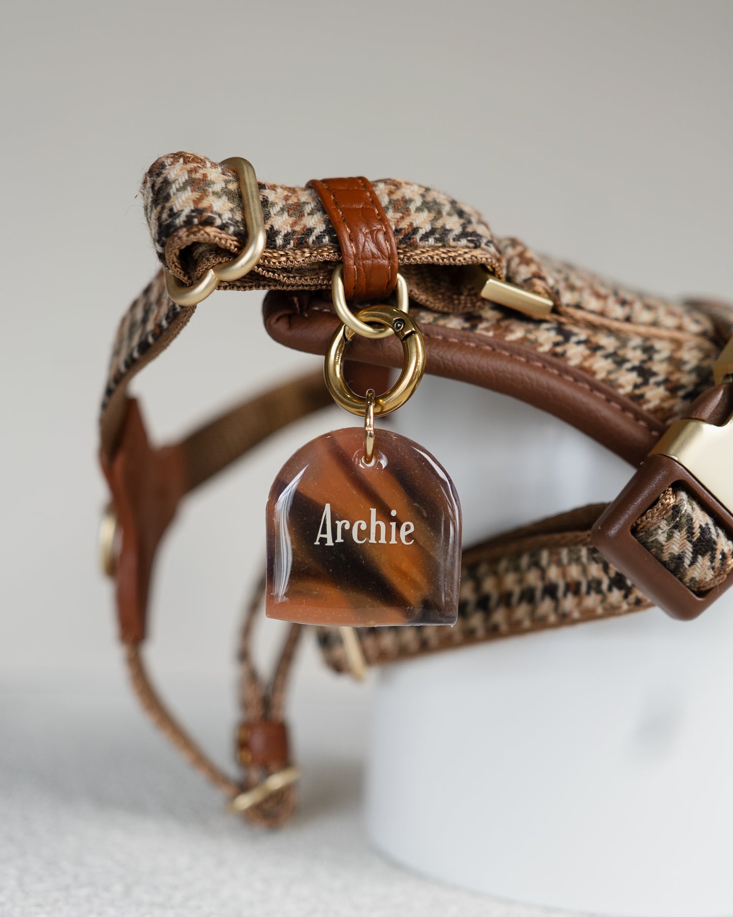 Tortoise shell tag
