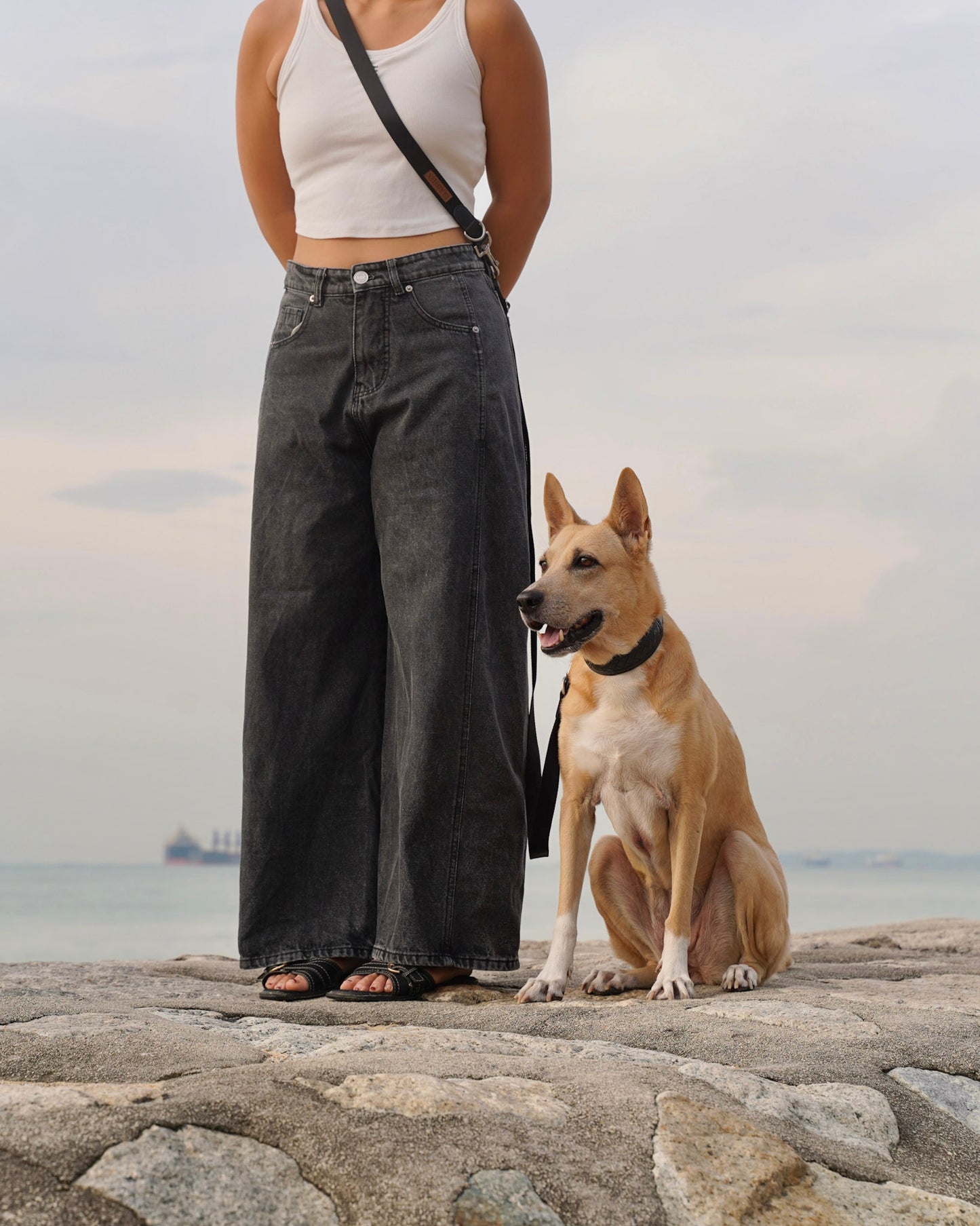 Verso Leash 2.0 in Stealth