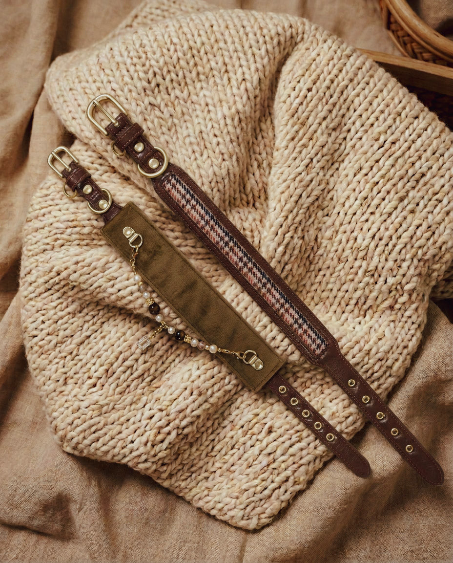 Nova Collar in saddlewood 2.0