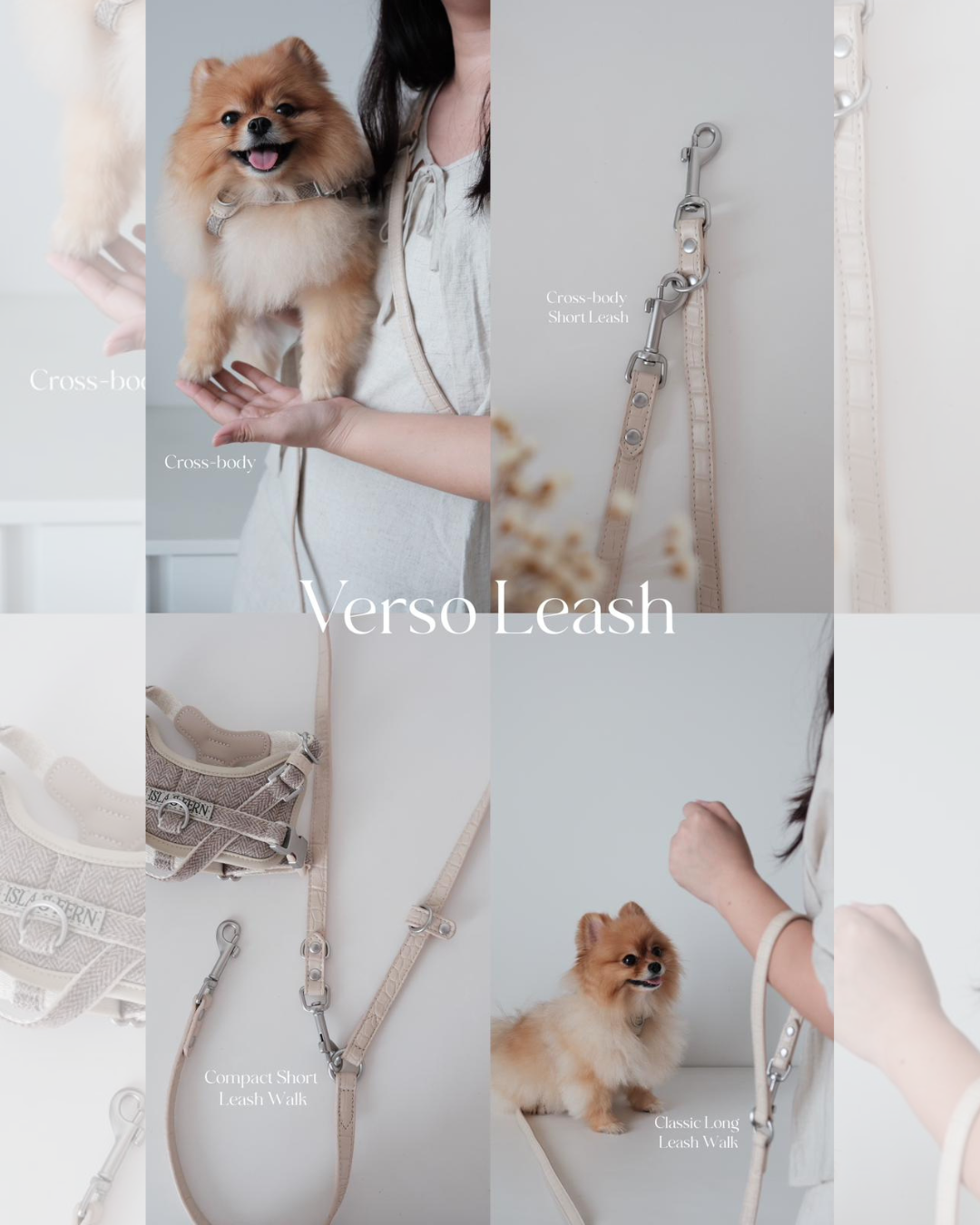 Verso Leash in Mauve