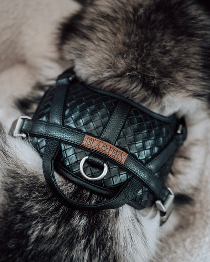 Sorella Harness in Stealth