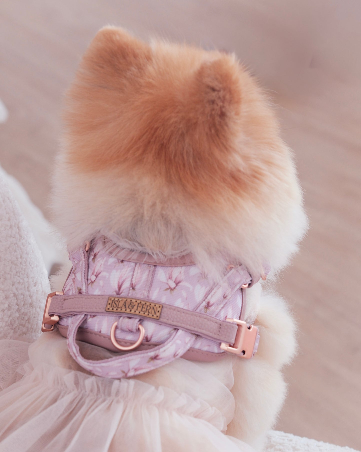 Sorella Harness in Mauve