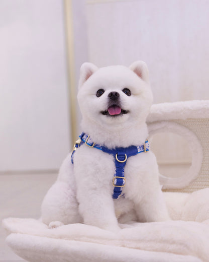 Sorella Harness in Porcelain