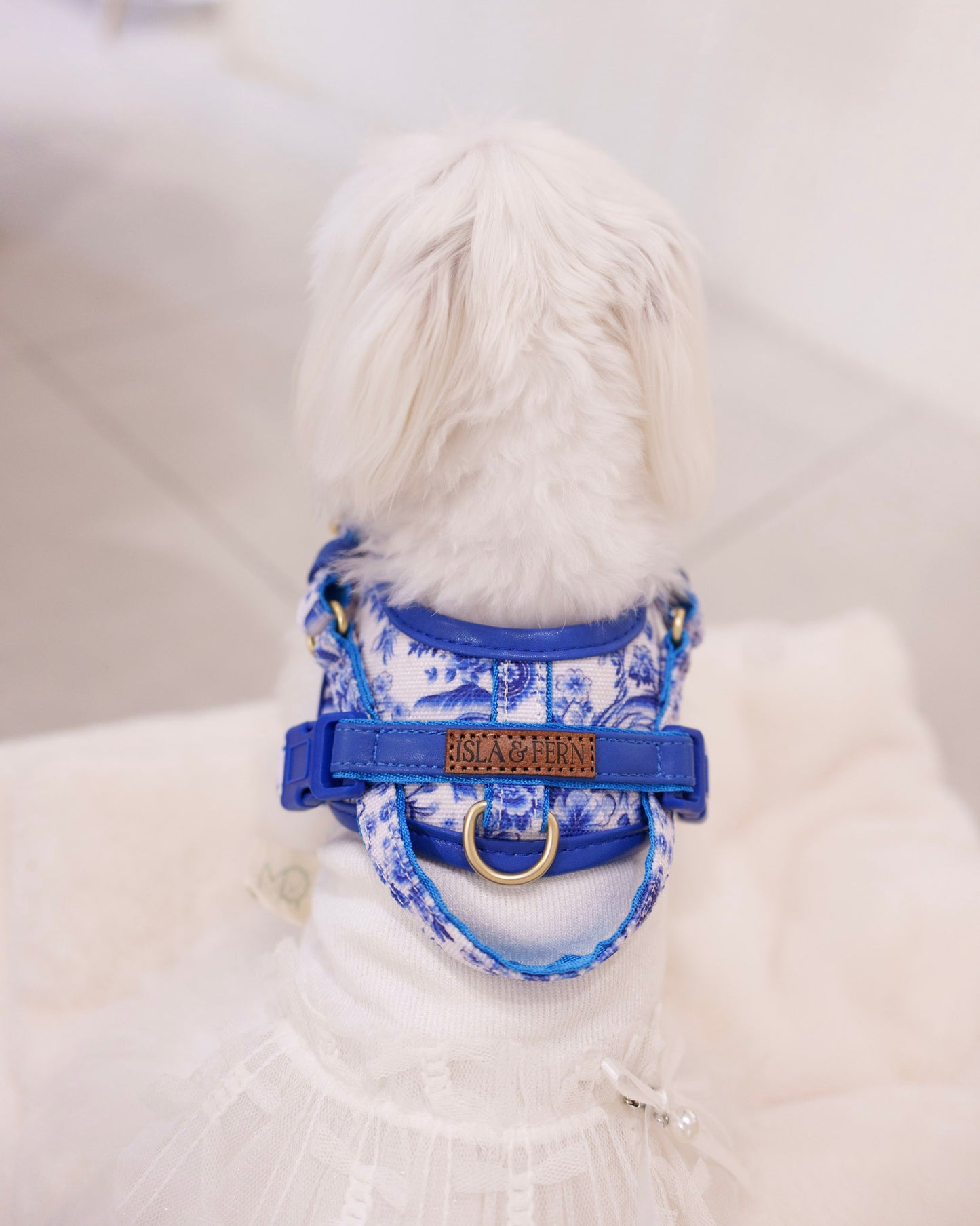 Sorella Harness in Porcelain