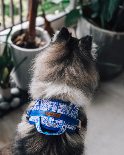 Sorella Harness in Porcelain