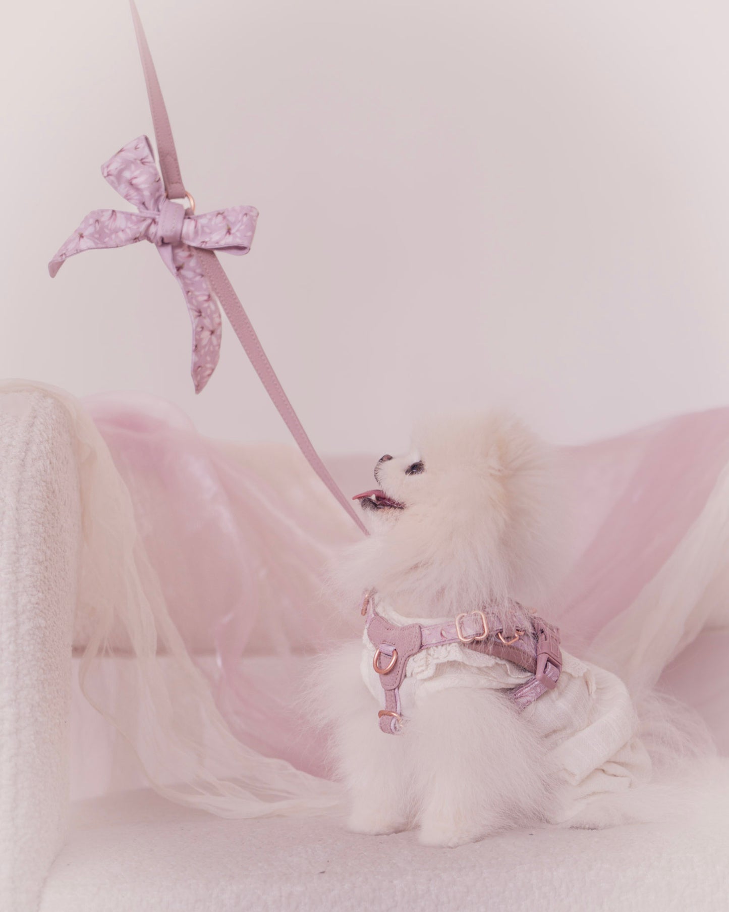 Verso Leash in Mauve