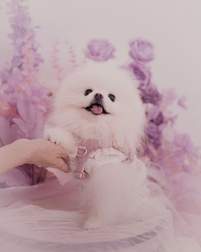 Sorella Harness in Mauve