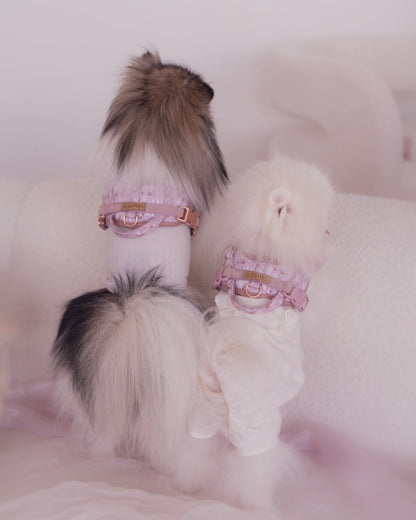 Two small dogs wearing pink harnesses on a white background