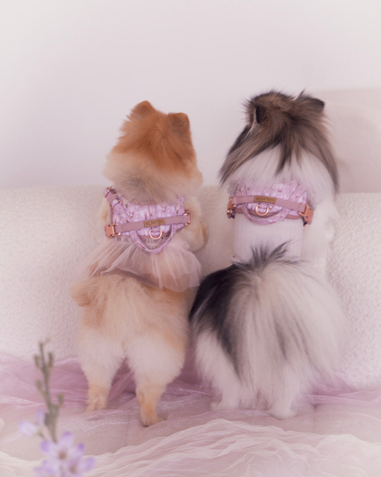 Sorella Harness in Mauve