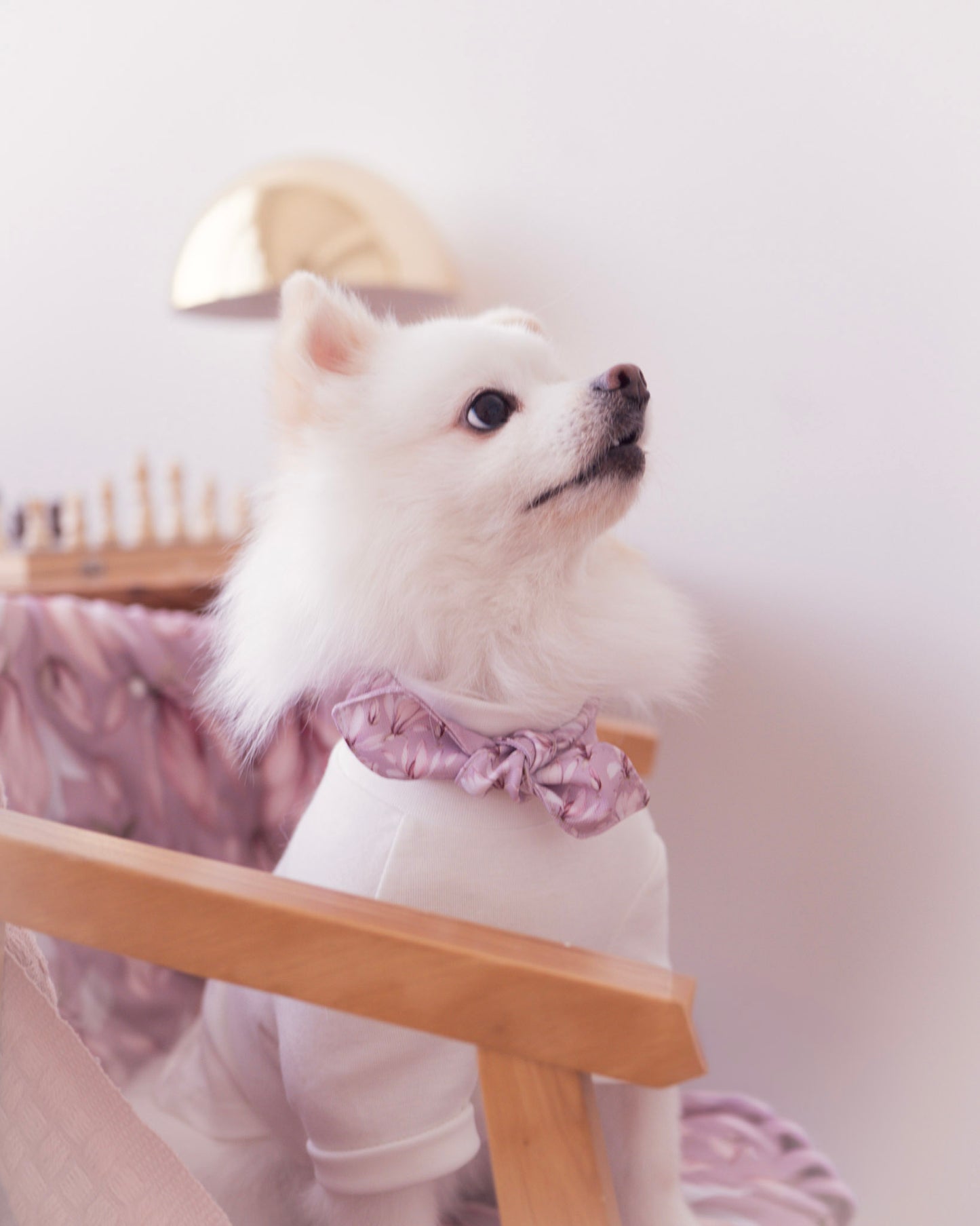 Amelie Neck Scarf in Mauve