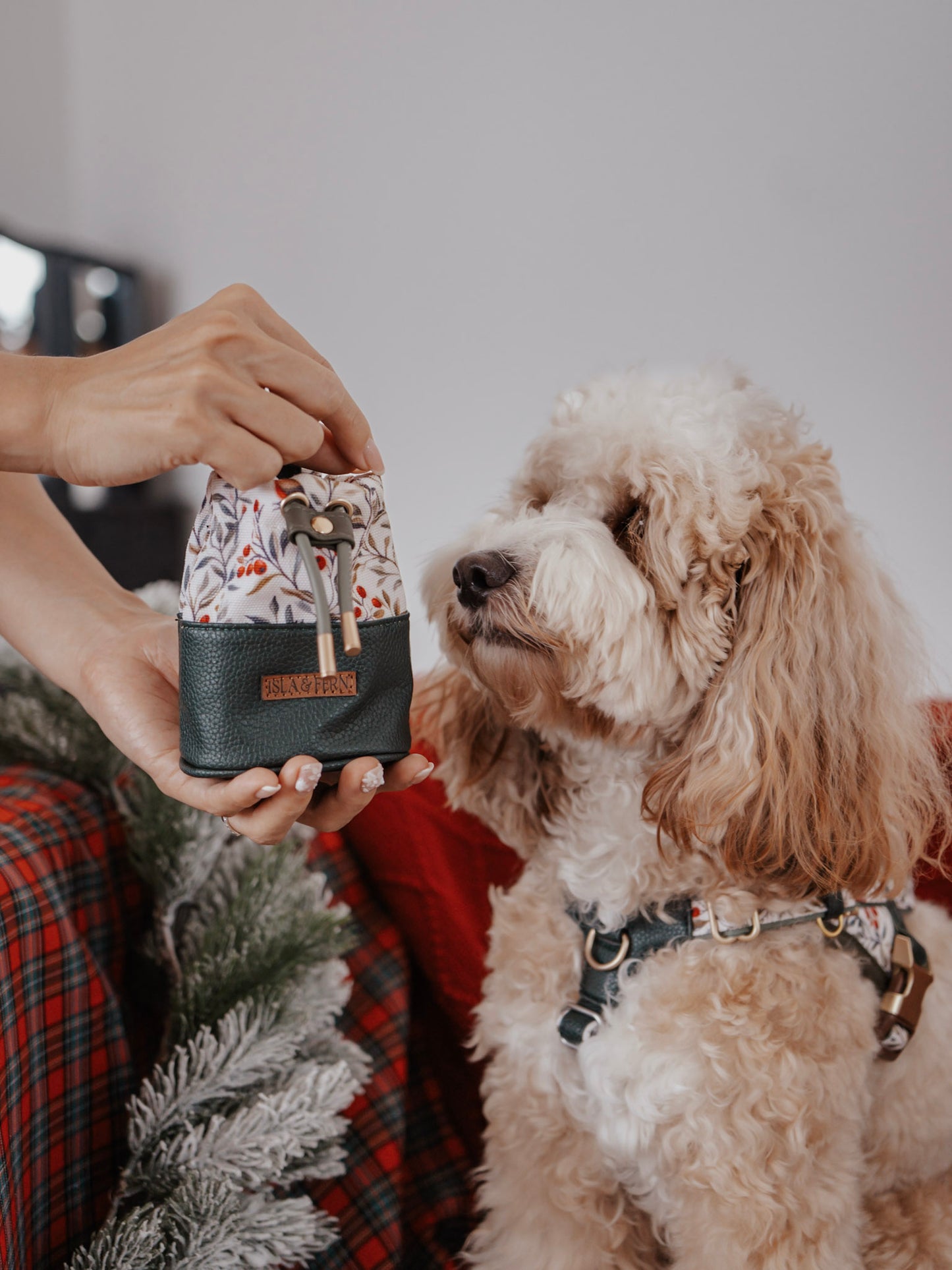 Myra Pouch in Vintage Christmas
