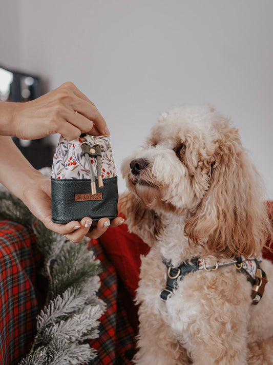 Myra Pouch in Vintage Christmas