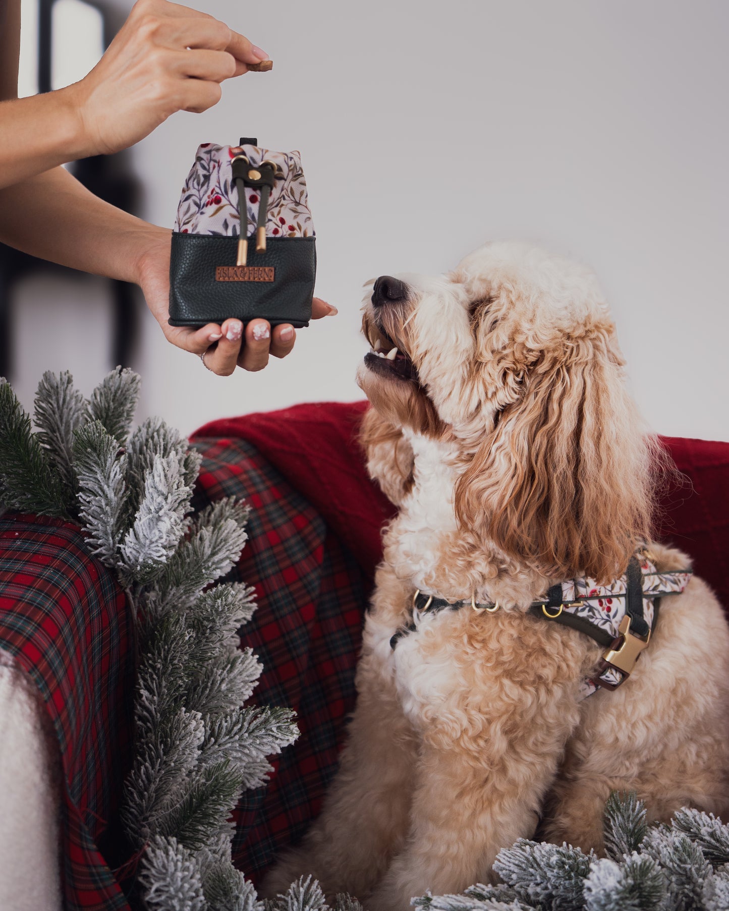 Myra Pouch in Vintage Christmas