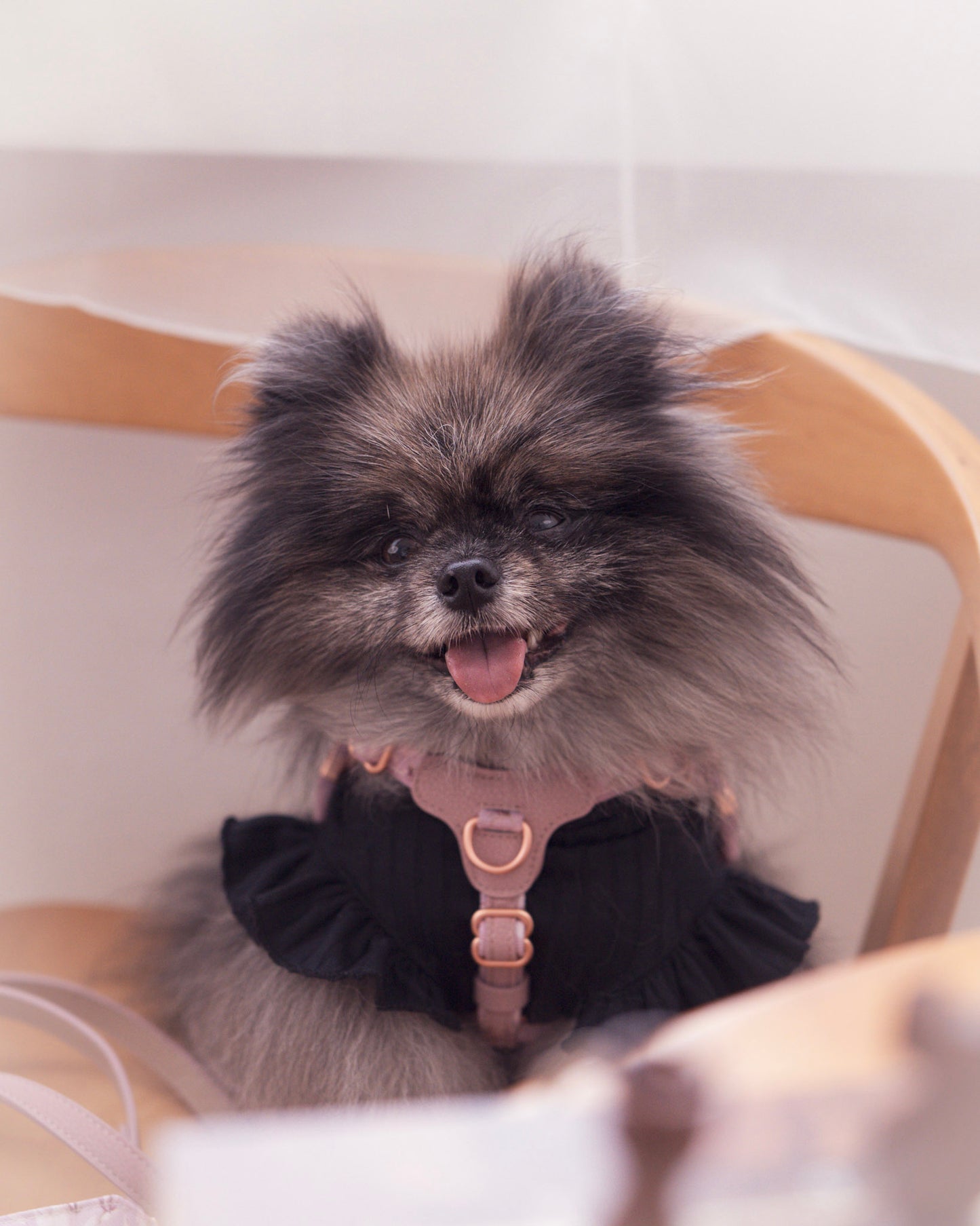 Sorella Harness in Mauve