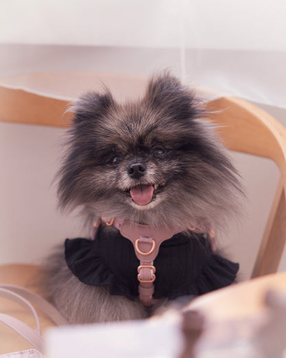 Sorella Harness in Mauve