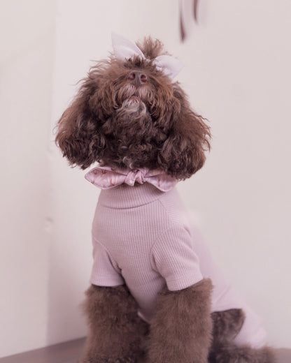 Amelie Neck Scarf in Mauve