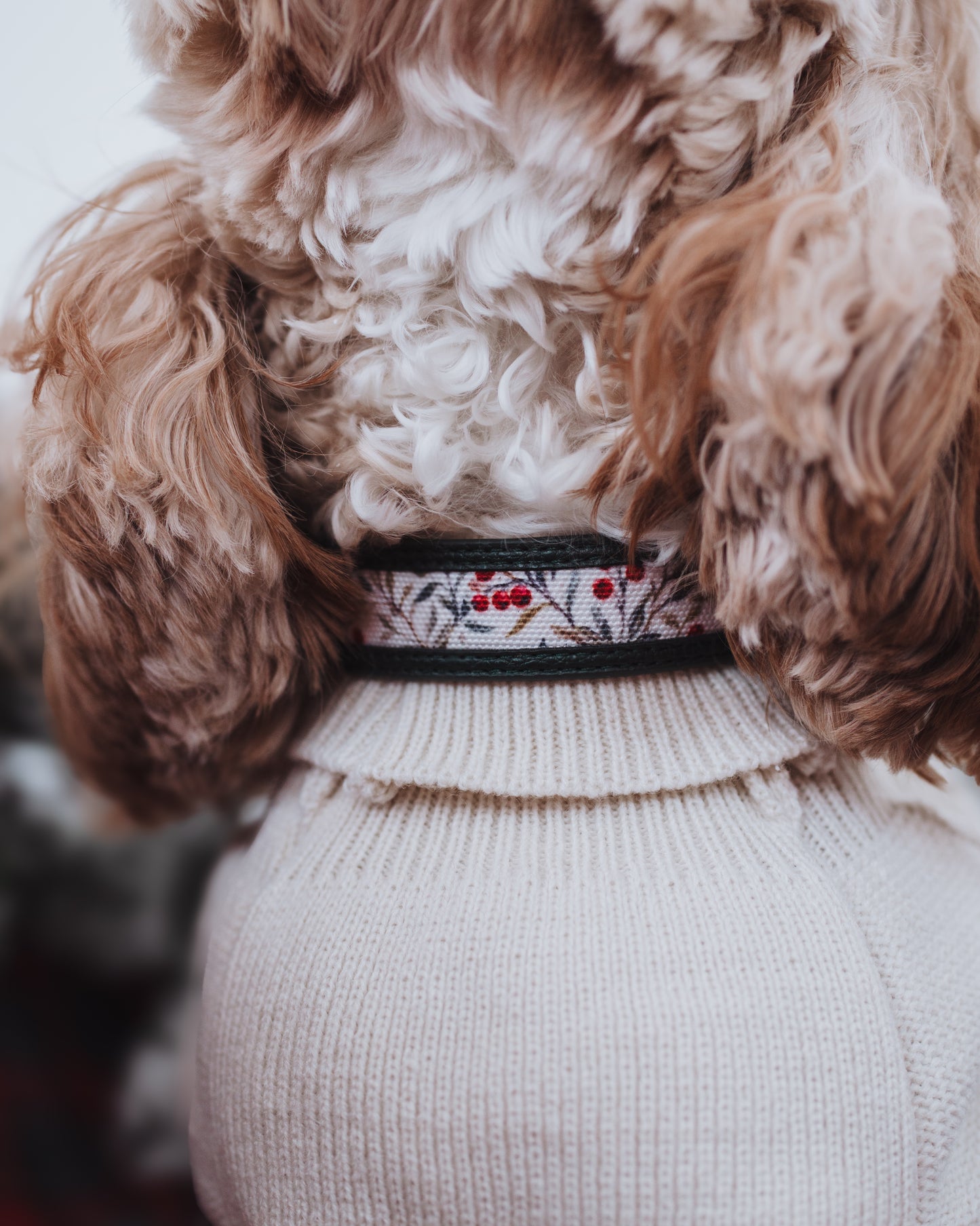 Nova Collar in Vintage Christmas