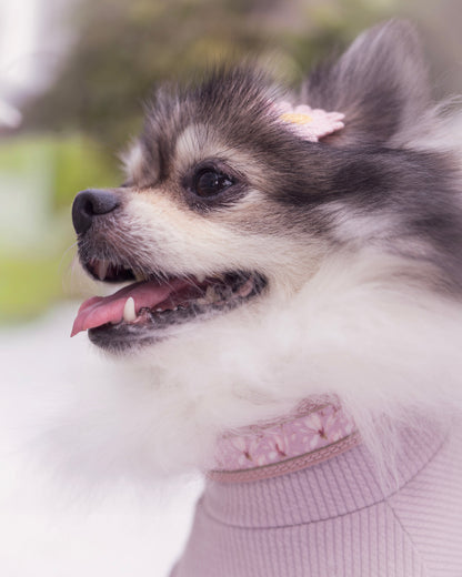 Nova Collar in Mauve