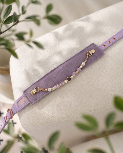 Nova Collar in Meadow