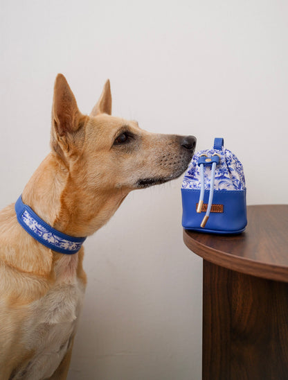 Nova Collar in Porcelain