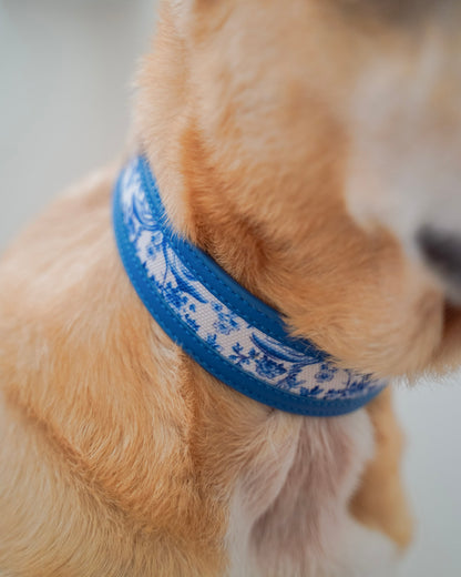 Nova Collar in Porcelain