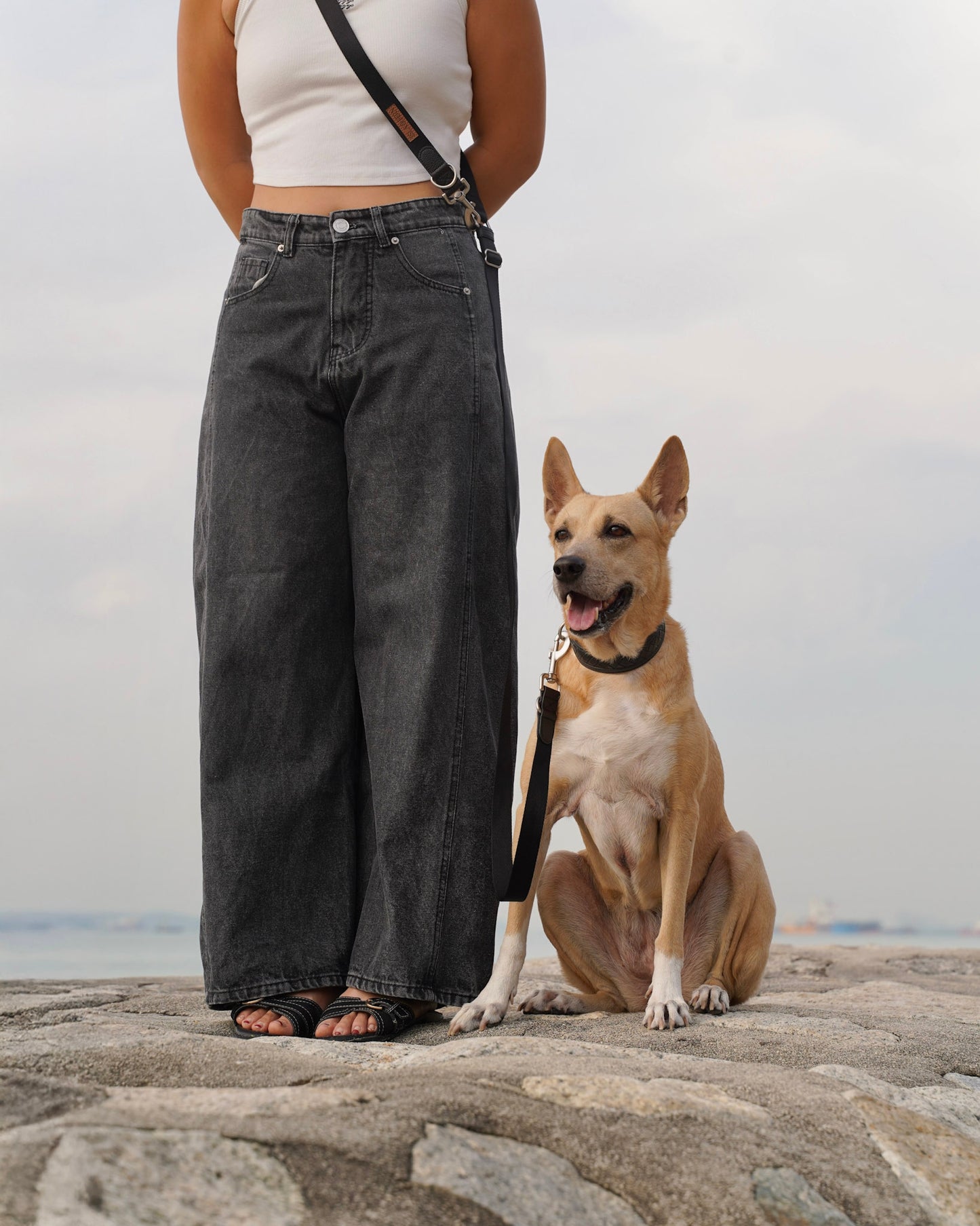 Nova Collar in Stealth