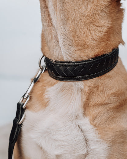 Nova Collar in Stealth