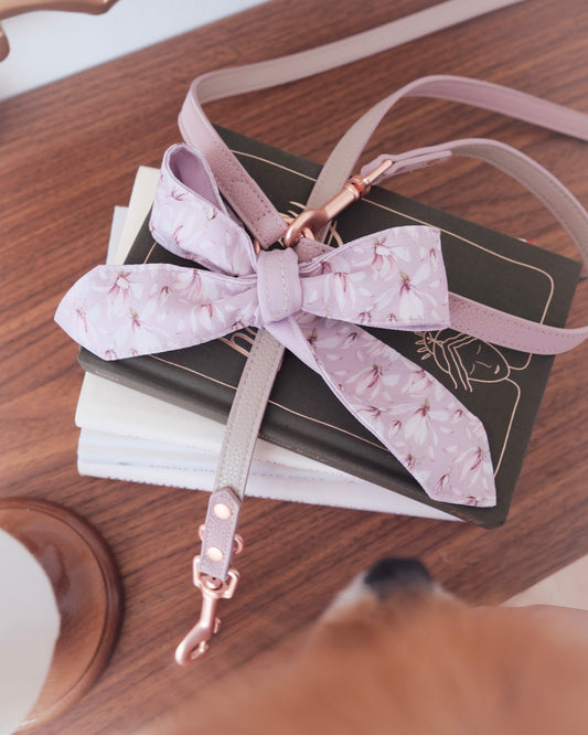 Verso Leash in Mauve