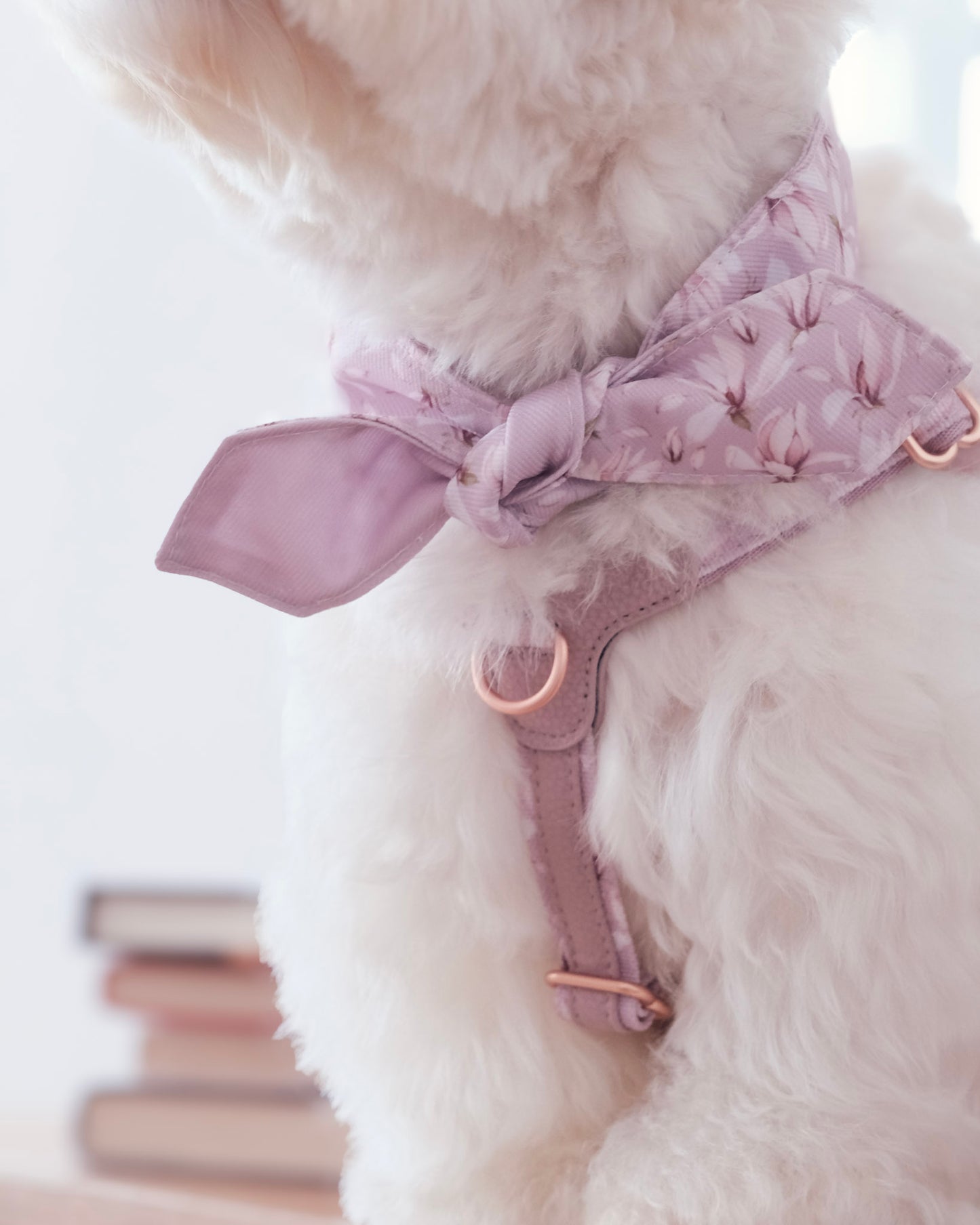 Amelie Neck Scarf in Mauve