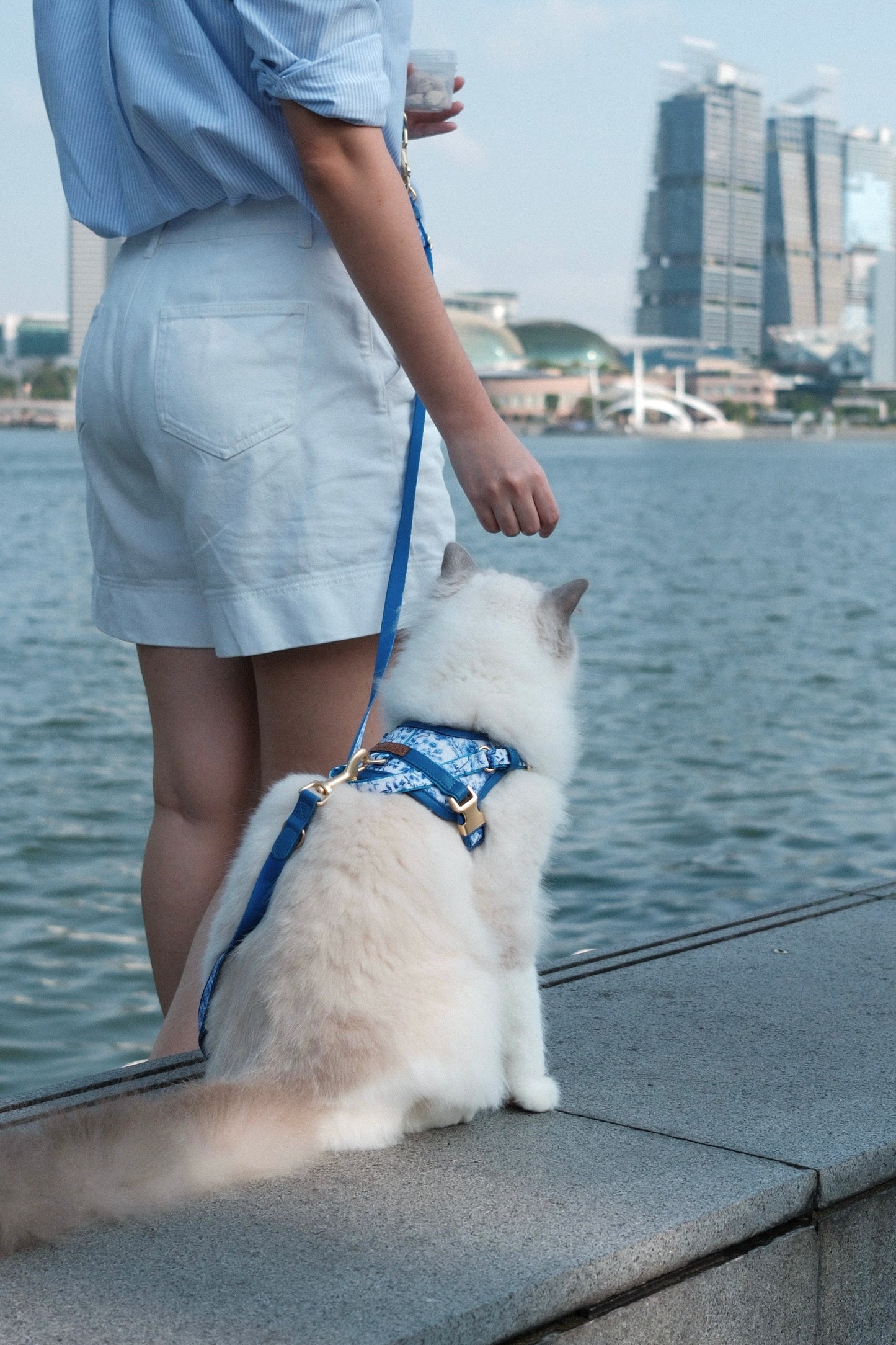 Verso Leash 2.0 in Porcelain