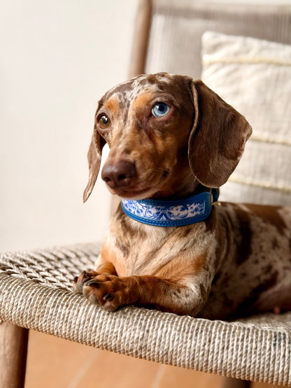 Nova Collar in Porcelain