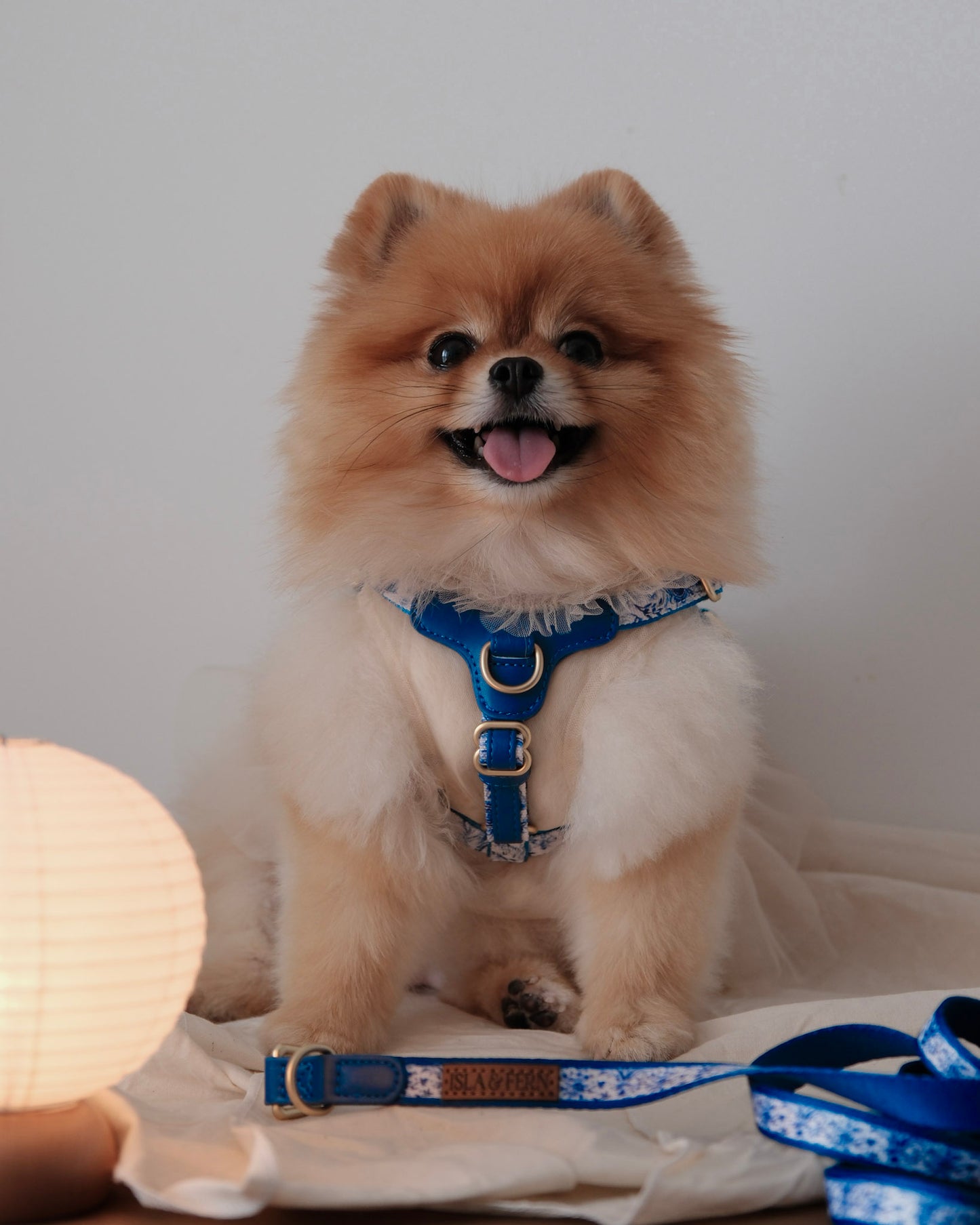 Sorella Harness in Porcelain