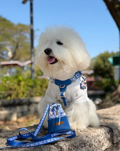 Sorella Harness in Porcelain