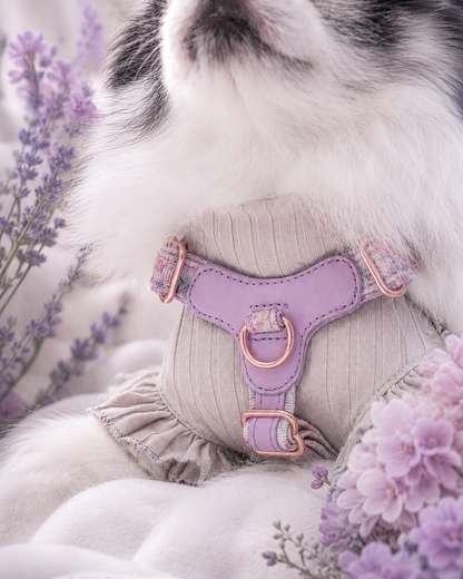 A close-up of a dog wearing a lavender ribbed harness with rose gold metal hardware.