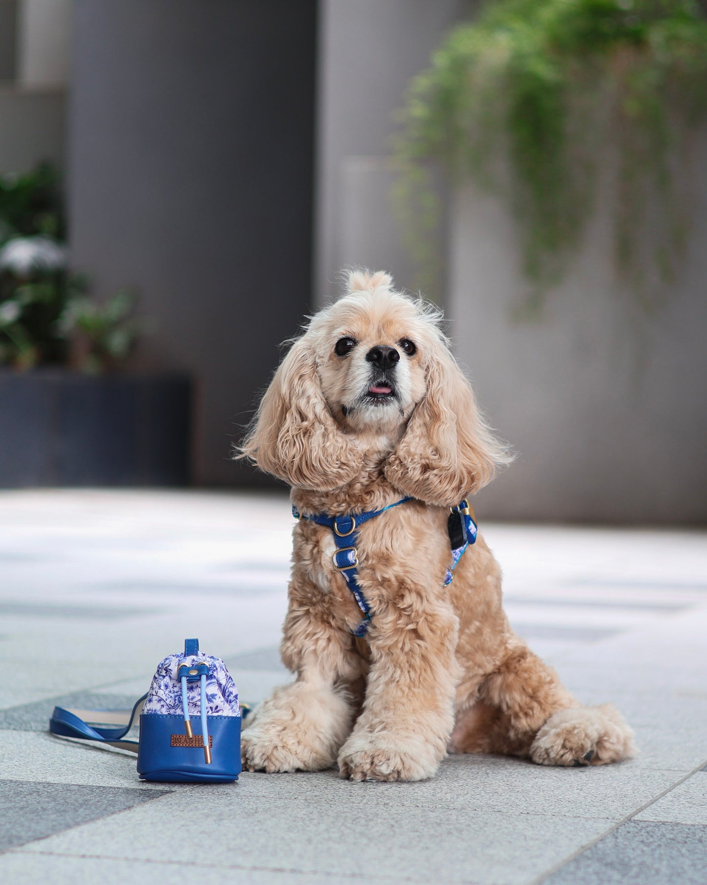 Sorella Harness in Porcelain