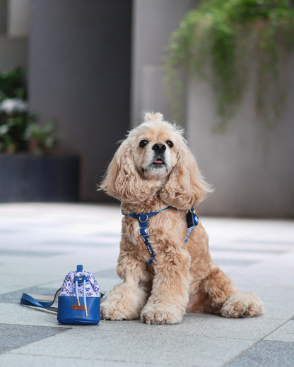 Sorella Harness in Porcelain