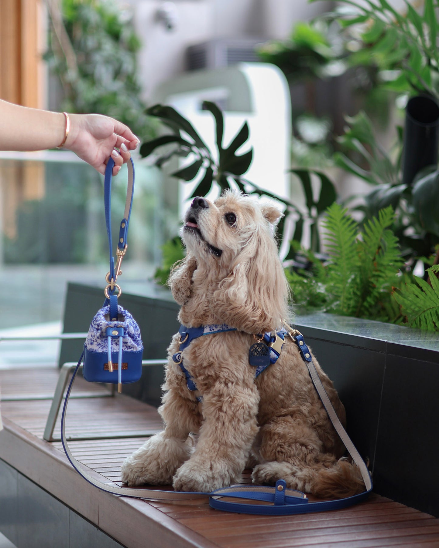 Verso Leash in Porcelain