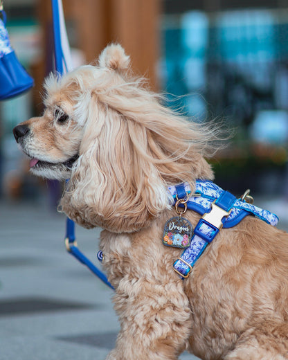 Sorella Harness in Porcelain