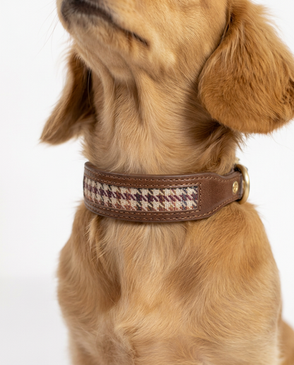 Nova Collar in saddlewood 2.0