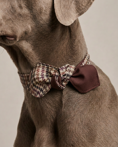 Amelie Neck Scarf in Saddlewood 2.0