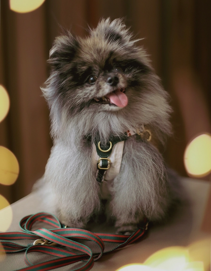 Sorella Harness in Vintage Christmas