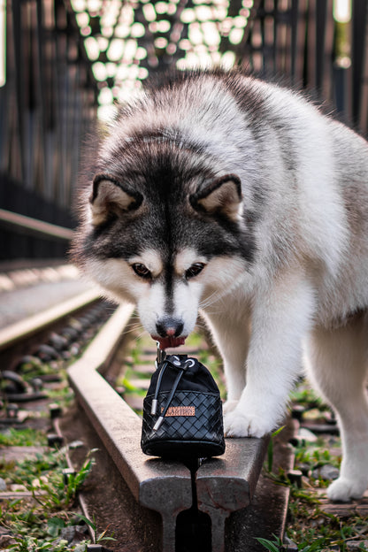 Myra Pouch in Stealth