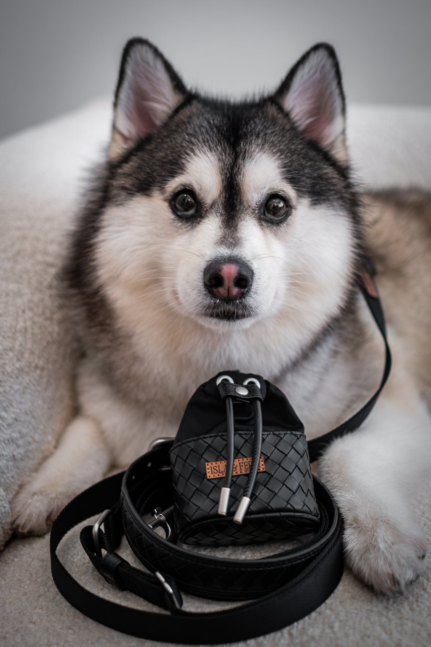 Myra Pouch in Stealth