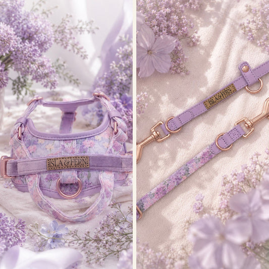 Meadow Walk Duo Set - Harness, Leash