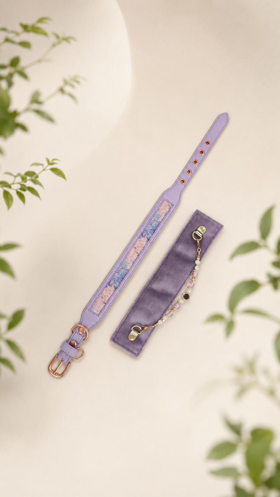 Nova Collar in Meadow