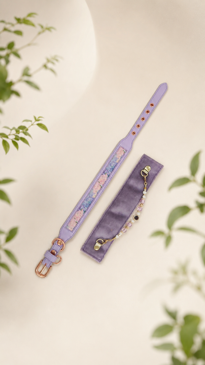 Nova Collar in Meadow