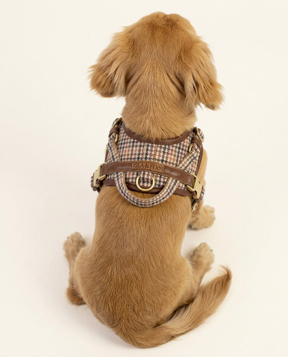 Sorella Harness in Saddlewood 2.0