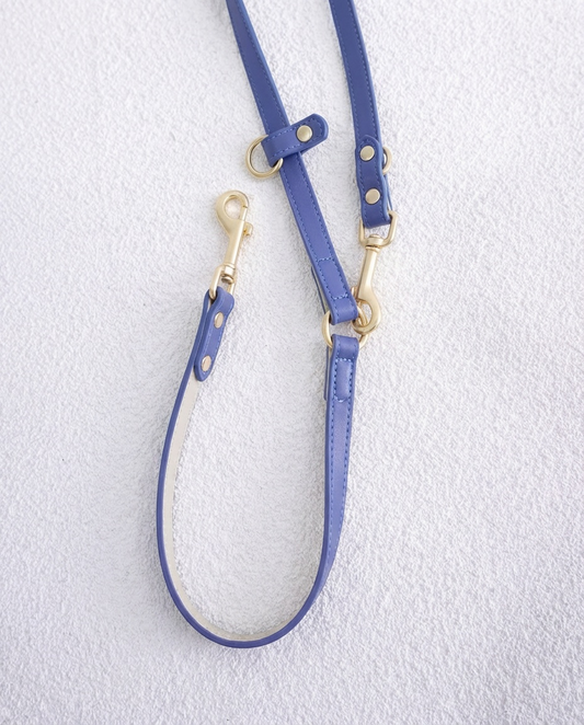 Verso Leash in Porcelain