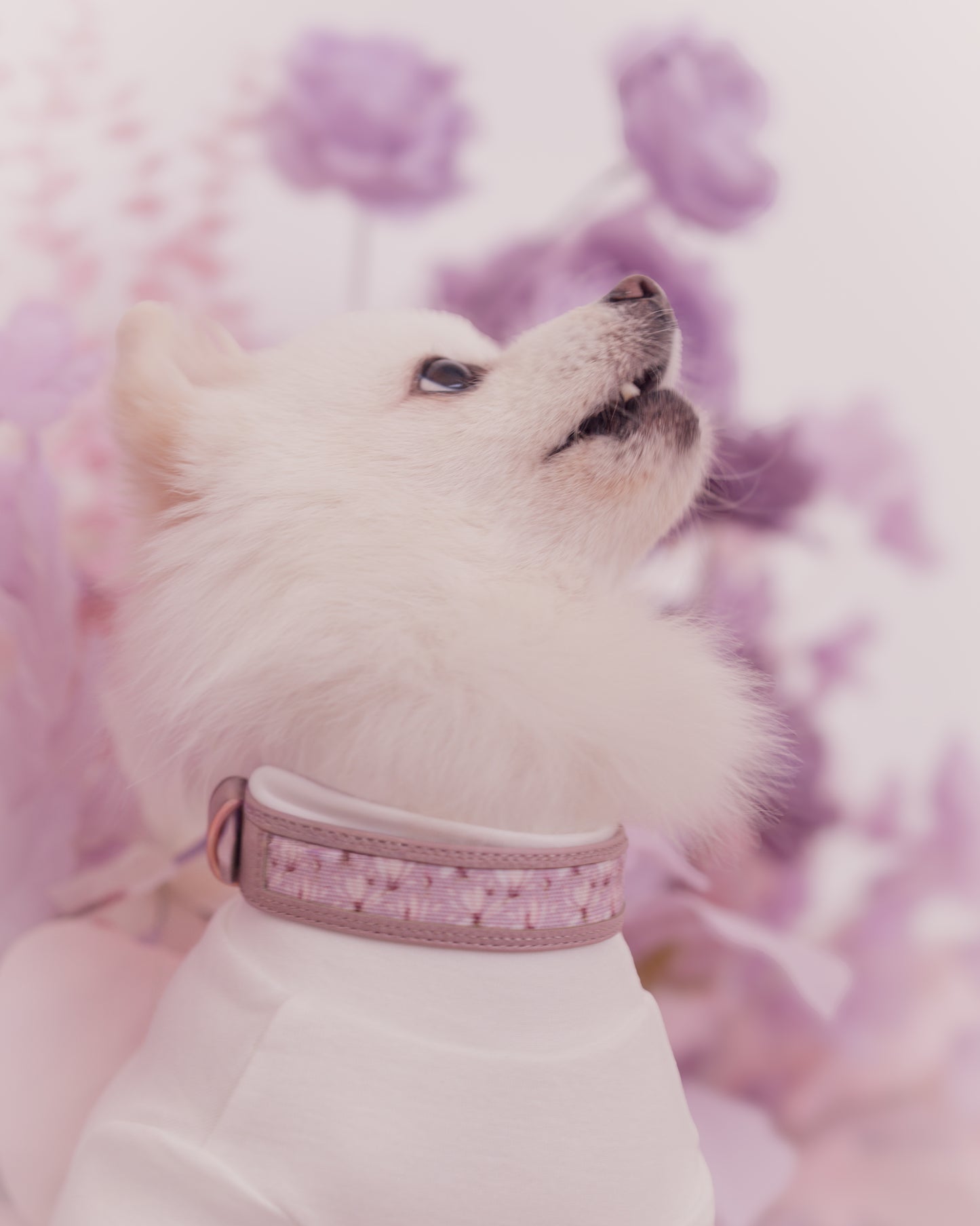 Nova Collar in Mauve