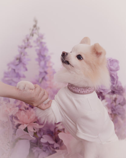 Nova Collar in Mauve